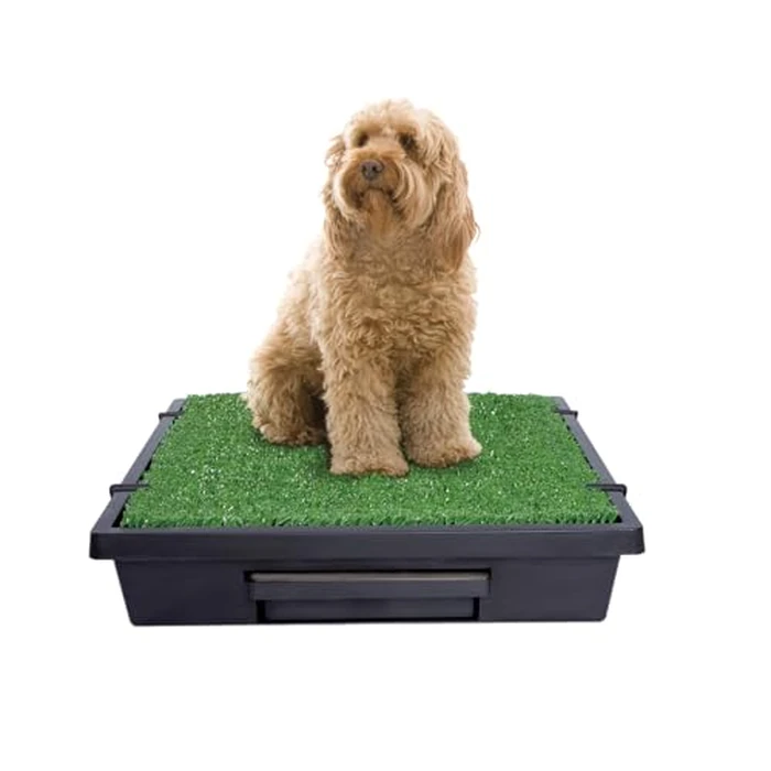 PetSafe Pet Loo Portable Dog Potty - Pet Toilet Alternative for Puppy Pads - Medium - Perfect for House Training - Easy-to-Clean Grass Mat by PetSafe - Image 1