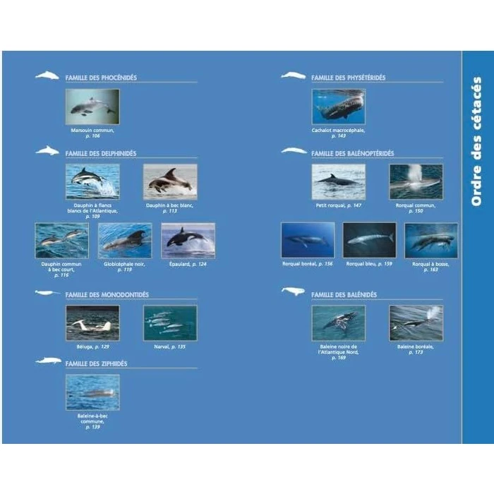 Mammifères marins du Québec et de l'est du Canada by MICHEL QUINTIN - Used - Like New condition - CA$32.52