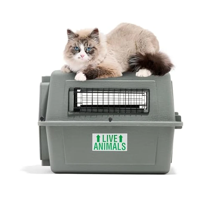 Petmate Sky Kennel For Air and Travel Airline Compliant Dog Crate for Smaller Dog Breeds or Pets up to 15 lbs, Heavy Duty Dog Kennel, Made in the USA- 21" L by Petmate - Image 6