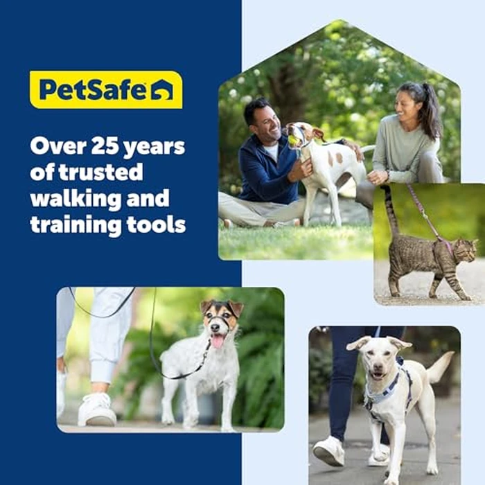 PetSafe Gentle Leader Headcollar, No-Pull Dog Collar Perfect for Leash & Harness Training Stops Pets from Pulling and Choking on Walks Large, Apple Green by PetSafe - Image 8
