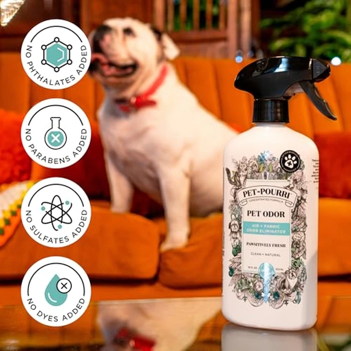 Pet-Pourri Pawsitively Fresh Pet Odor Deodorizer Spray, 16 Fl Oz, Up to 800 Uses, Air + Fabric Odor Remover with Essential Oils & Plant Based Ingredients, Vet Recommended, Pineapple, Jasmine & Pear by Poo-Pourri - Image 6