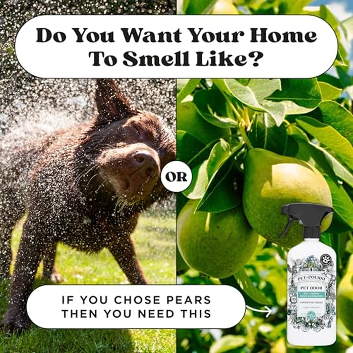 Pet-Pourri Pawsitively Fresh Pet Odor Deodorizer Spray, 16 Fl Oz, Up to 800 Uses, Air + Fabric Odor Remover with Essential Oils & Plant Based Ingredients, Vet Recommended, Pineapple, Jasmine & Pear by Poo-Pourri - Image 7