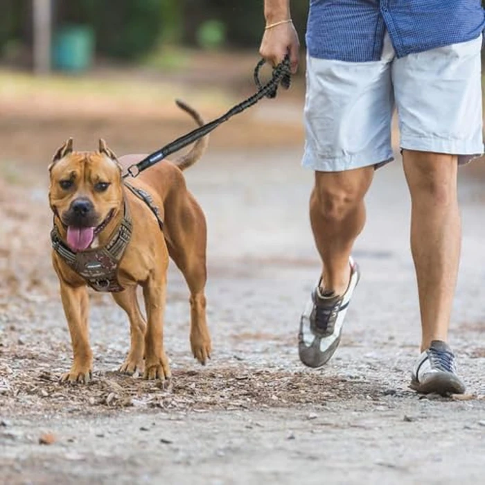 AUROTH Tactical Dog Harness for Small Medium Dogs No Pull Adjustable Pet Harness Reflective K9 Working Training Easy Control Pet Vest Military Service Dog Harnesses Woodland Camo M by AUROTH - Image 8