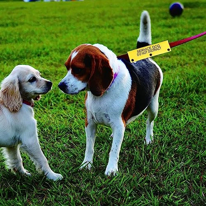 Funny Dog Leash Sleeve - Service Dog Do Not Distract Wrap Alert Hanging ID Patch Tag Pet Birthday Gift by BLUPARK - Image 4