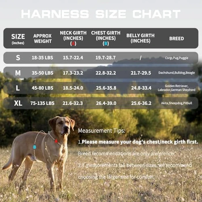 Tactical Dog Harness Medium Sized, Heavy Duty No Pull Dog Harness with Handle, Easy On and Off Service Dog Vest with Molle System, Reflective Pet Vest for Walking Hiking Training by RunFido - Image 7