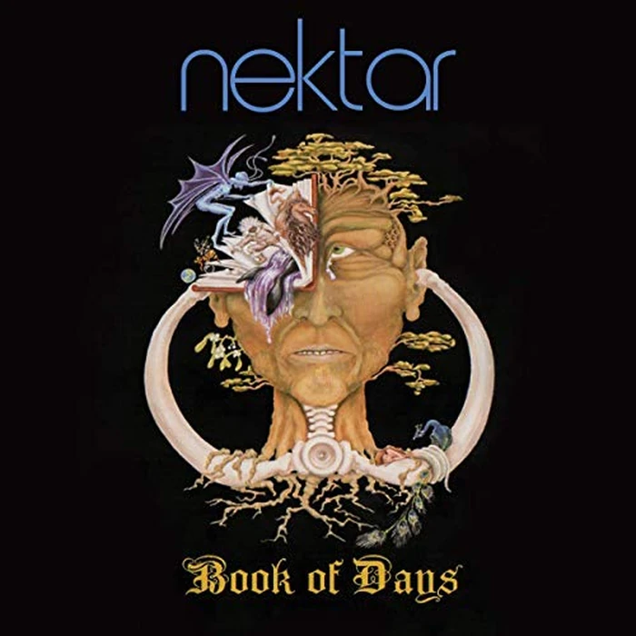 Book Of Days (Vinyl) by The Orchard - Used - Like New condition - CA$27.55
