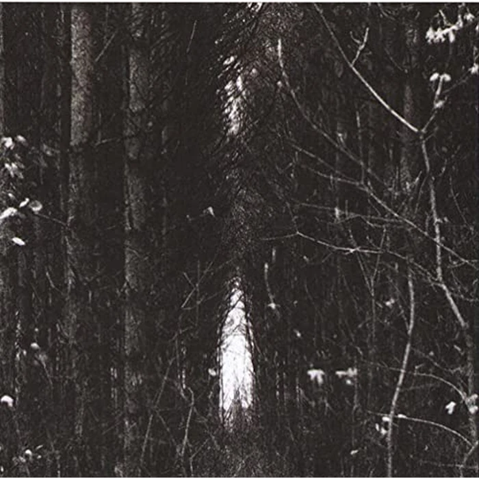 Clark by Warp Records - Image 4