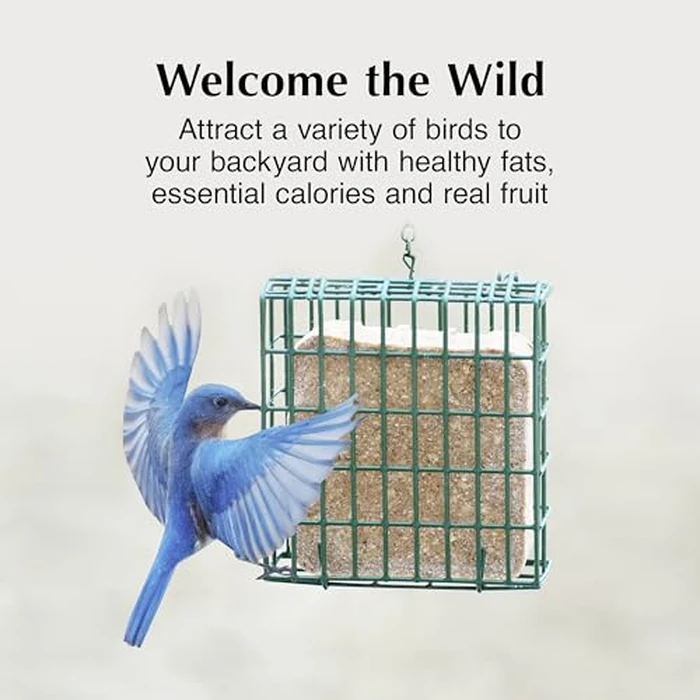 C&S Orange Delight No Melt Suet Dough, Suet Cakes for Wild Birds Including Robins, Blue Jays, Bluebirds, Tanagers, Thrushes and More, 8 Pack by C&S - Image 3