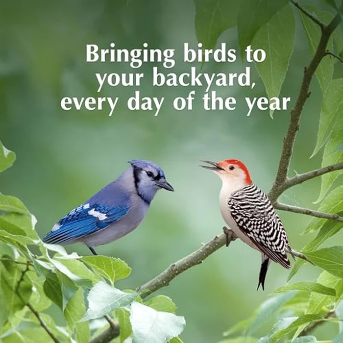 C&S Orange Delight No Melt Suet Dough, Suet Cakes for Wild Birds Including Robins, Blue Jays, Bluebirds, Tanagers, Thrushes and More, 8 Pack by C&S - Image 9