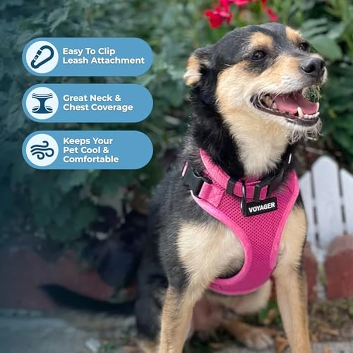 Voyager Step-in Pet Harness - All Weather Mesh, Adjustable Step in Harness for Cats and Dogs by Best Pet Supplies - Fuchsia, M by Best Pet Supplies - Image 3