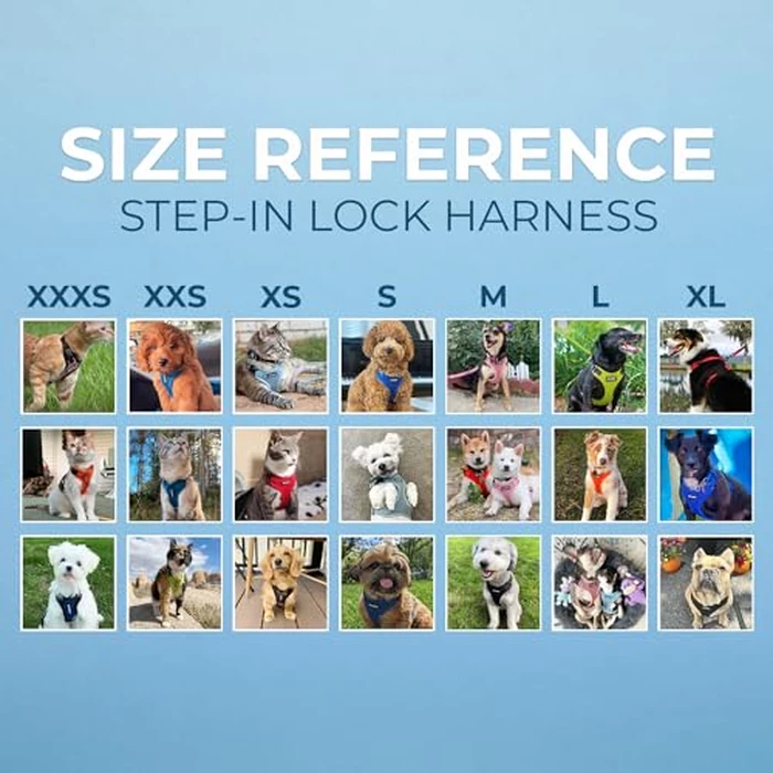 Voyager Step-in Pet Harness - All Weather Mesh, Adjustable Step in Harness for Cats and Dogs by Best Pet Supplies - Fuchsia, M by Best Pet Supplies - Image 7