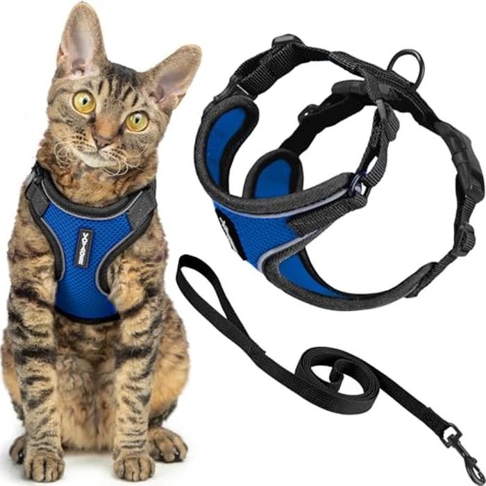 Voyager Escape-Proof Step-in Lock Cat Harness & 5ft Neoprene-Handle Leash Set All-Weather Mesh with Reflective Stitching for Small to Large Cats by Best Pet Supplies, Black Trim-Royal Blue (327), XS by Best Pet Supplies - Used - Very Good condition - US$14.20