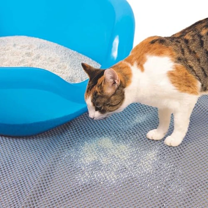 Pioneer Pet Reversible Litter Mat, 36" x 24" by Pioneer - Image 6
