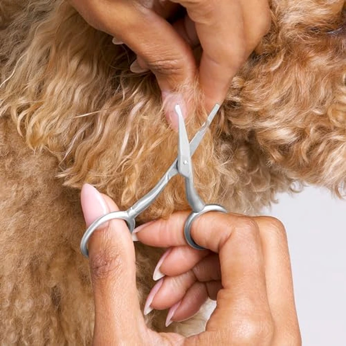 Tweezerman Dog and Cat Stainless Steel Safety Tip Grooming Scissors by Tweezerman - Image 2
