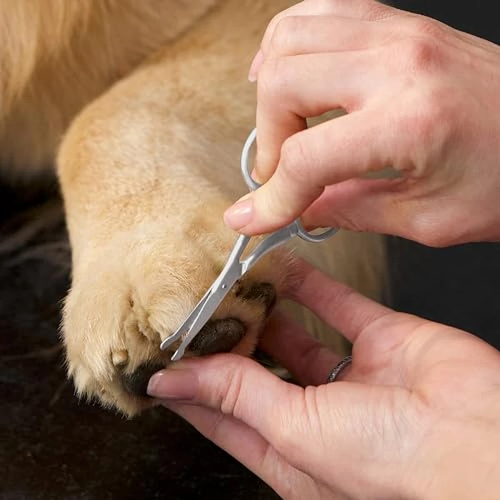 Tweezerman Dog and Cat Stainless Steel Safety Tip Grooming Scissors by Tweezerman - Image 3