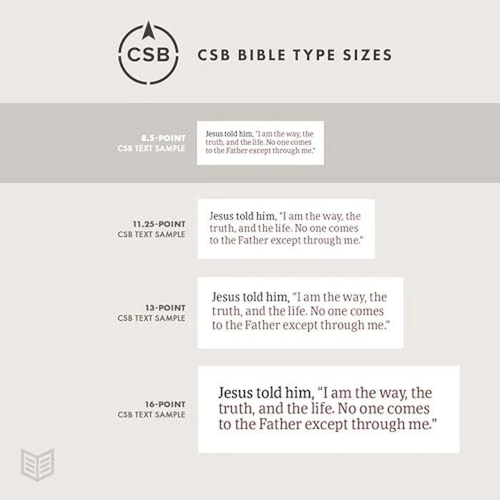 CSB She Reads Truth Bible, Rose Gold LeatherTouch by Holman Bibles - Image 7