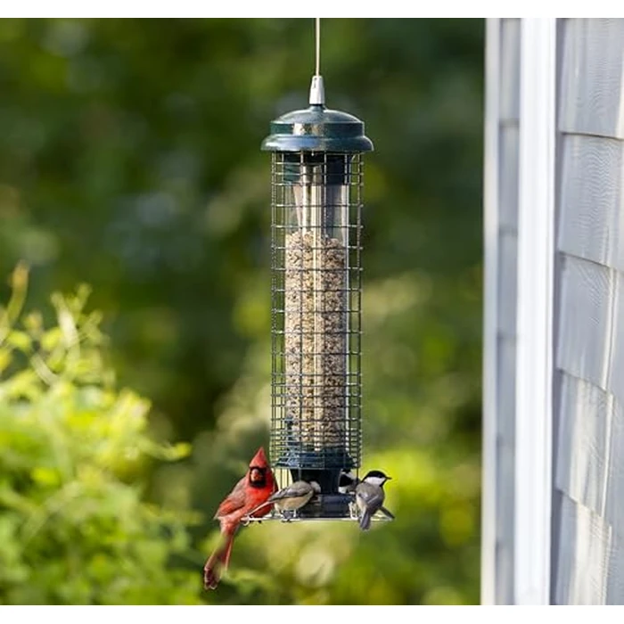 Brome Squirrel Solution 150 Squirrel-Proof Bird Feeder for Wild Birds - 4 Stainless Steel Perches, 2.6 lb Seed Capacity, Chew-Proof, Free Seed Funnel Included by Brome - Image 3