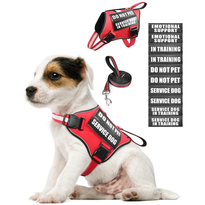 MOOGROU Service Dog Vest Harness and Leash Set+10 Patches for Puppy Small Dogs,Do Not Pet Emotional Support Dog Vest with 2 Soft Padded Handle for Everyday/Training (Red XS) by MOOGROU - Used - Acceptable condition - CA$15.80