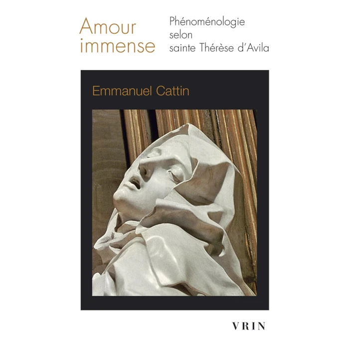 Amour immense: Phénoménologie selon sainte Thérèse d'Avila by Librarie Philosophique J. Vrin - Used - Like New condition - CA$13.26