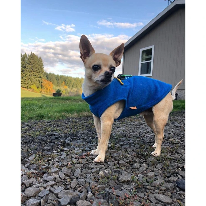 Gooby Zip Up Fleece Vest - Blue, X-Small by GOOBY - Image 6
