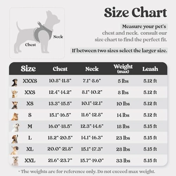rabbitgoo Dog Harness Small Breed and Leash, Step in Soft Light Puppy Vest, Breathable Mesh No Pull Pet Harness, Reflective for Safe Easy Walking, Black XXS by rabbitgoo - Image 2
