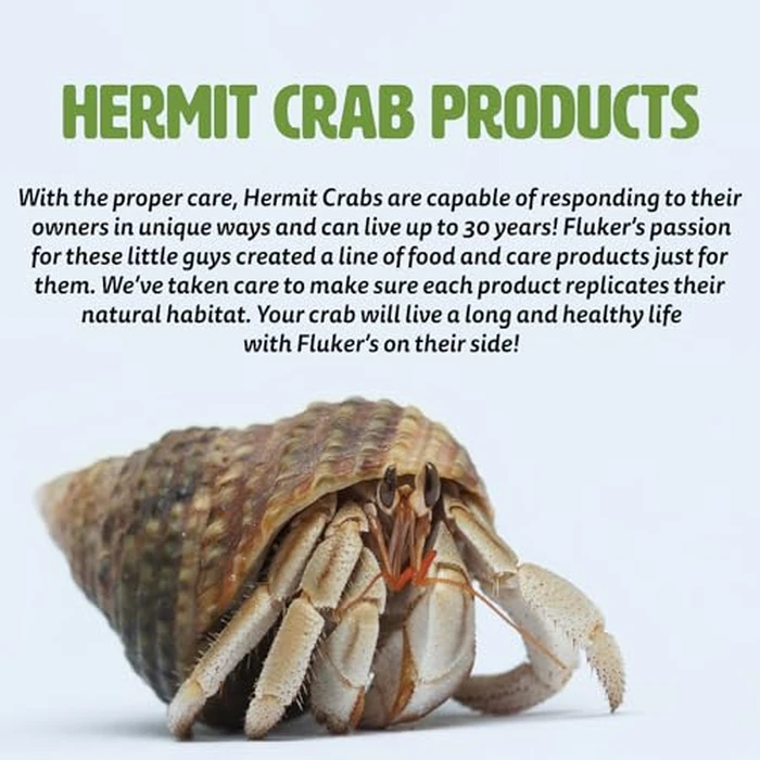 Fluker's All Natural Premium Hermit Crab Sand Substrate, Sand Mixture with Coconut Fiber, For Hermit Crab Tanks, 12 lbs. by Fluker's - Image 6