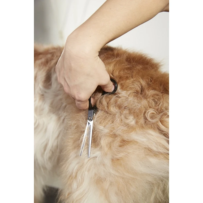 Andis Straight Shears, Right-Handed, Professional Dog and Cat Grooming by Andis - Image 2