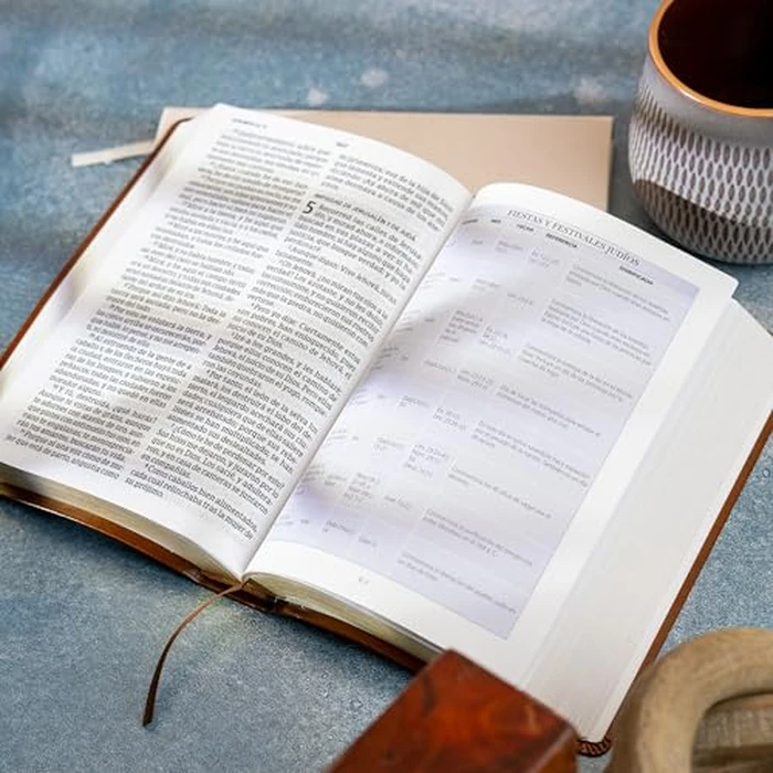 RVR 1960 Biblia letra grande tamaño manual edición tierra santa, café símil piel Mass Market: Santa Biblia (Spanish Edition) by B&H Espanol - Image 3