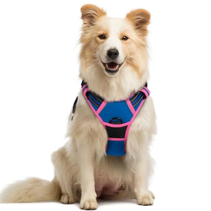 rabbitgoo Dog Harness No Pull with 2 Leash Clips, Adjustable Soft Padded, Reflective Oxford No Choke Pet Vest with Easy Control Handle for Large Dogs, Blue & Hot Pink, M by rabbitgoo - Image 1