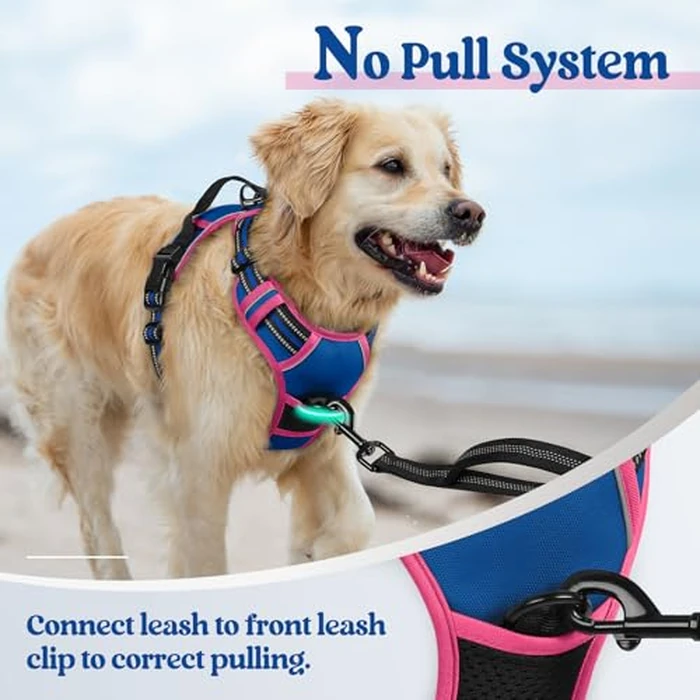 rabbitgoo Dog Harness No Pull with 2 Leash Clips, Adjustable Soft Padded, Reflective Oxford No Choke Pet Vest with Easy Control Handle for Large Dogs, Blue & Hot Pink, M by rabbitgoo - Image 5