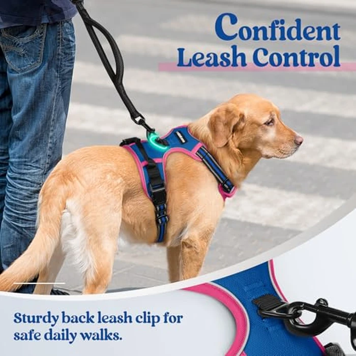rabbitgoo Dog Harness No Pull with 2 Leash Clips, Adjustable Soft Padded, Reflective Oxford No Choke Pet Vest with Easy Control Handle for Large Dogs, Blue & Hot Pink, M by rabbitgoo - Image 6