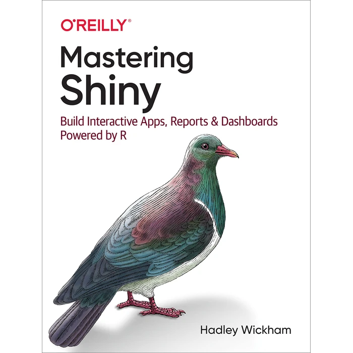 Mastering Shiny: Build Interactive Apps, Reports, and Dashboards Powered by R by O'Reilly - Used - Good condition - CA$54.78