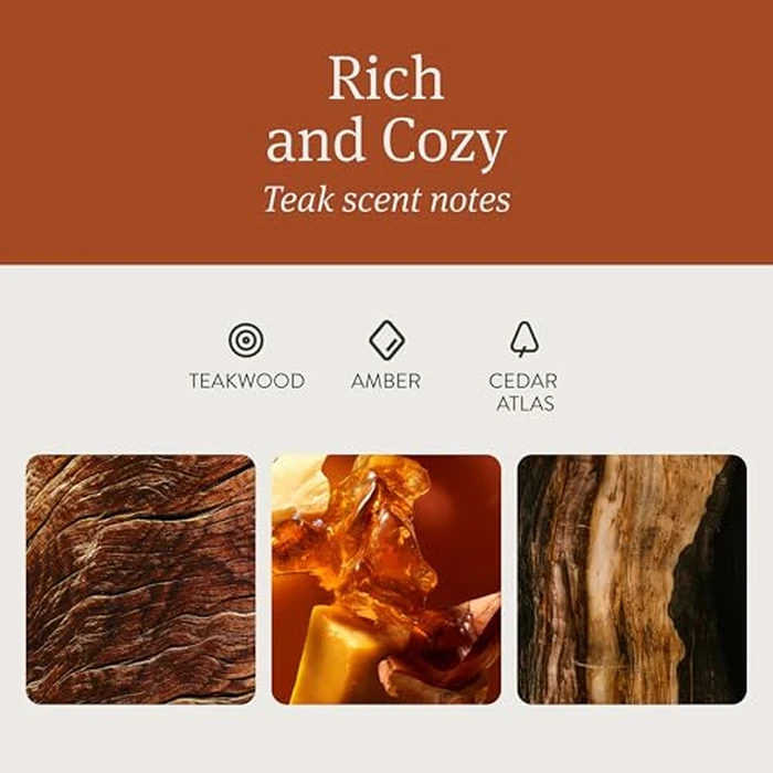 Drift Car Air Freshener - Wood Air Freshener - Car Odor Eliminator - Teak Scent Starter Kit by drift - Image 3