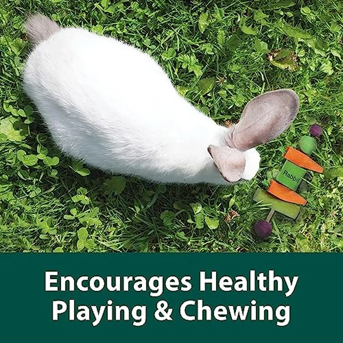 Kaytee Perfect Chews Hanging Wood Chew Toy for Pet Rabbits and Other Small Animals by Kaytee - Image 5