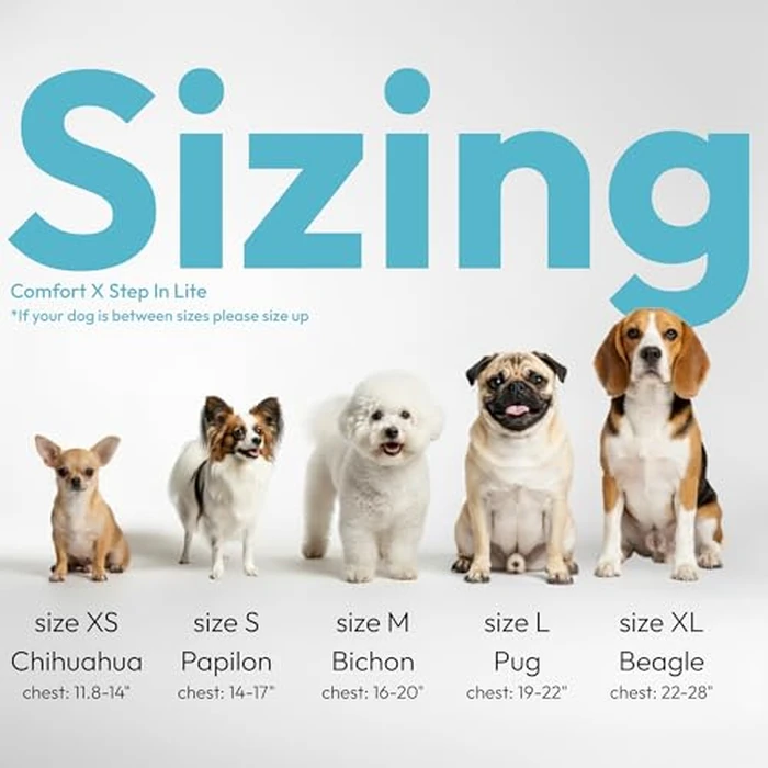 Gooby Comfort X Step in Lite Dog Harness - Choke Free, Escape Free with Light Breathable Mesh - Step in Dog Harness for Small Dogs Only - Quick Release Buckle, Metal D-Rings - Turquoise, Large by Gooby - Image 2