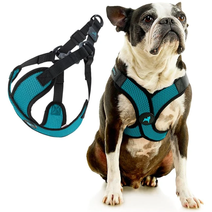 Gooby Comfort X Step in Lite Dog Harness - Choke Free, Escape Free with Light Breathable Mesh - Step in Dog Harness for Small Dogs Only - Quick Release Buckle, Metal D-Rings - Turquoise, Large by Gooby - Image 3