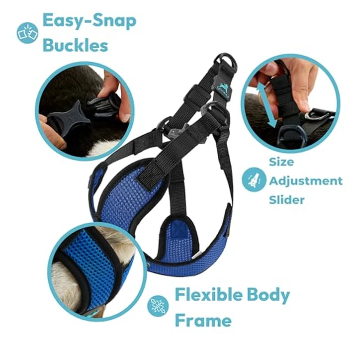 Gooby Comfort X Step in Lite Dog Harness - Choke Free, Escape Free with Light Breathable Mesh - Step in Dog Harness for Small Dogs Only - Quick Release Buckle, Metal D-Rings - Turquoise, Large by Gooby - Image 4