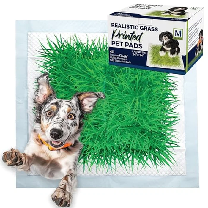 Big Dawg Pet Supplies Absorbent Puppy Pee Pads for Dogs & Cats - 24x24” Disposable Pet Pads - Handy Grab-n-Go Box - Potty Training & Housebreaking Supplies - Color, Grass - 40pc by M BRANDS - Image 1