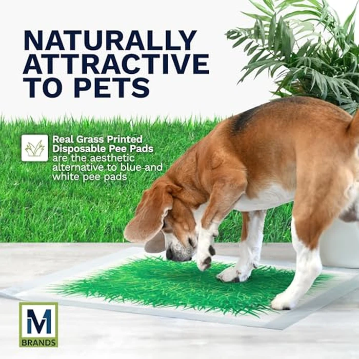 Big Dawg Pet Supplies Absorbent Puppy Pee Pads for Dogs & Cats - 24x24” Disposable Pet Pads - Handy Grab-n-Go Box - Potty Training & Housebreaking Supplies - Color, Grass - 40pc by M BRANDS - Image 3