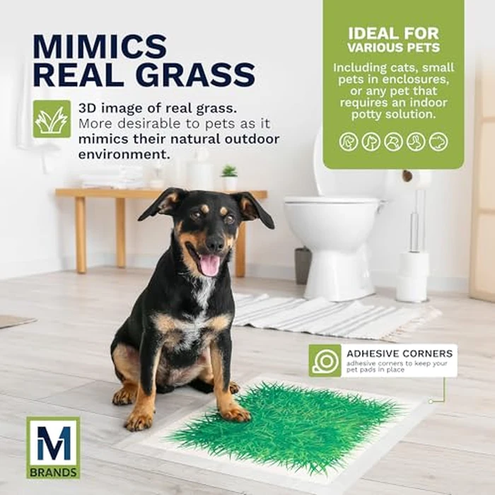 Big Dawg Pet Supplies Absorbent Puppy Pee Pads for Dogs & Cats - 24x24” Disposable Pet Pads - Handy Grab-n-Go Box - Potty Training & Housebreaking Supplies - Color, Grass - 40pc by M BRANDS - Image 6