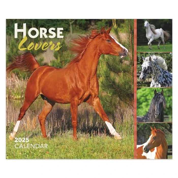 Horse Lovers | 2025 6 x 5 Inch Daily Desktop Box Calendar | New Page Every Day | BrownTrout | Animals Horses Equestrian by BrownTrout - Used - Like New condition