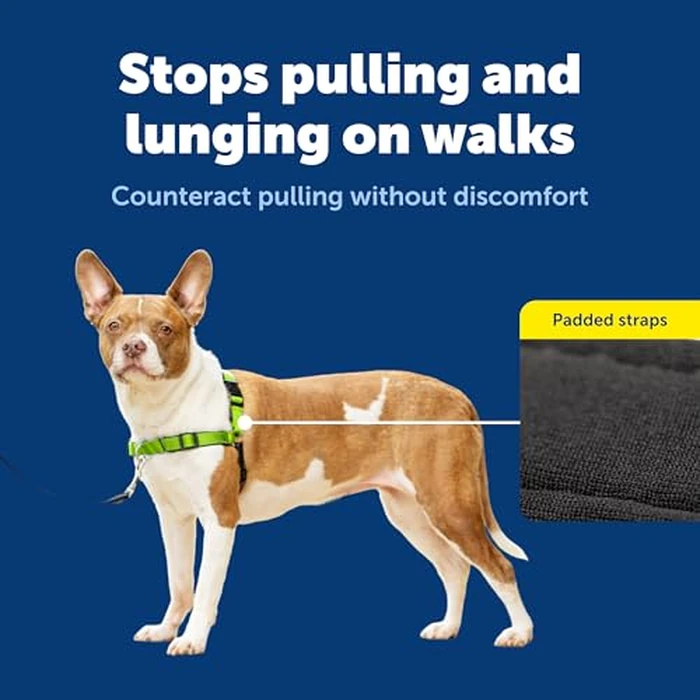 PetSafe EWH-D-HC-M-APL Deluxe Easy Walk Harness, Medium, Apple Green by PetSafe - Image 4