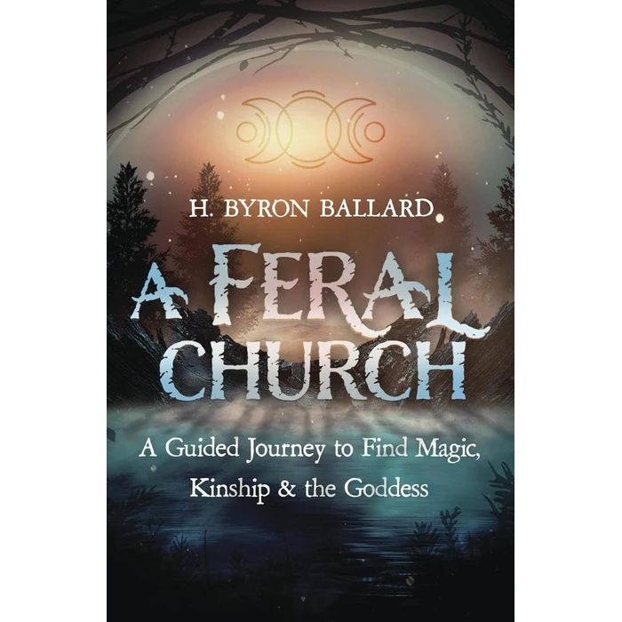 A Feral Church: A Guided Journey to Find Magic, Kinship & the Goddess by Llewellyn - Used - Like New condition - CA$14.44