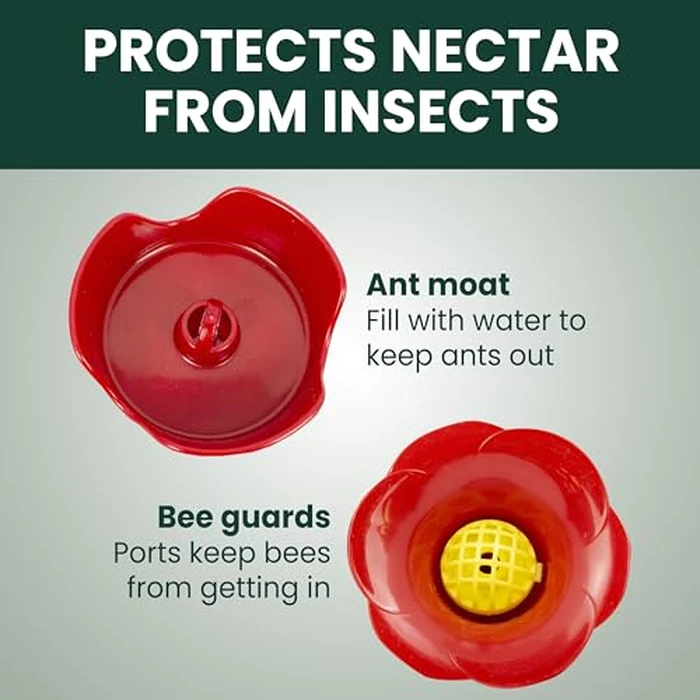 Perky-Pet Glass Hummingbird Feeders for Outdoors with Ant Moat, Bee Guards, & Perches, 8oz Nectar Capacity, Wide-Mouth Bottle for Easy Filling & Cleaning, Outdoor Garden Décor, 203CPBN-2 (Pack of 2) by Perky-Pet - Image 5