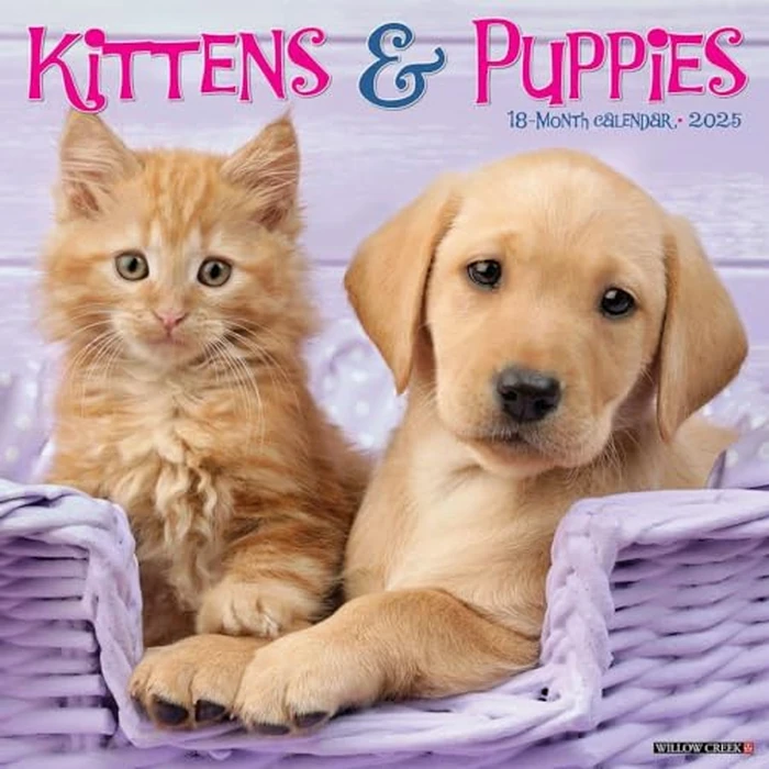 Kittens & Puppies 2025 12" x 12" Wall Calendar by WILLOW CREEK - Image 1