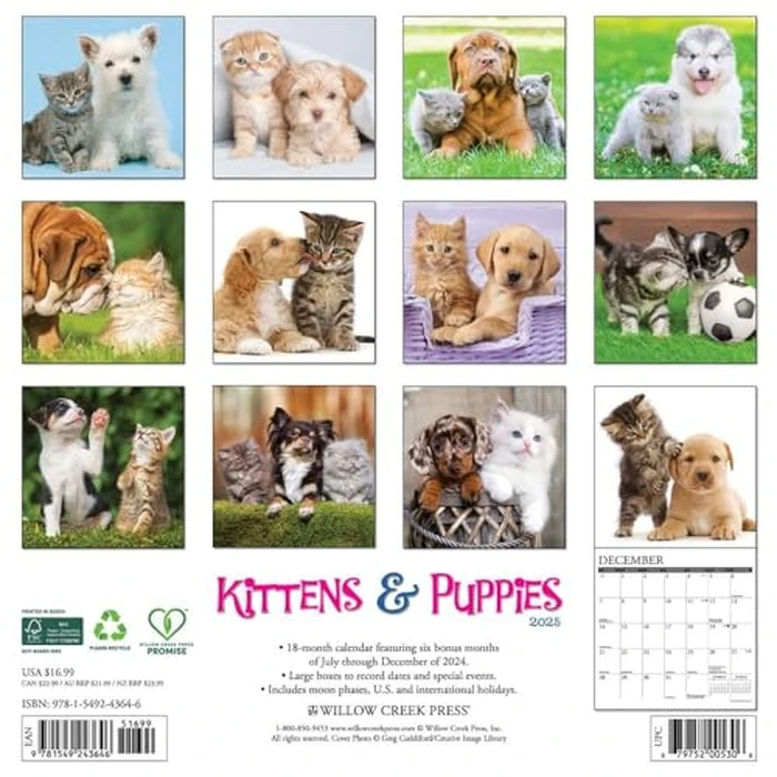 Kittens & Puppies 2025 12" x 12" Wall Calendar by WILLOW CREEK - Image 3
