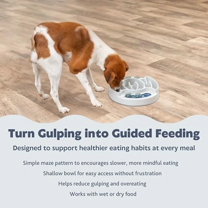 TRIXIE Slide & Feed Dog Activity Interactive Toy, Level 1 Food Puzzle Game, Brain Teasing Treat Dispenser, IQ and Mental Development Toy for Smart Dogs, Enrichment Toy for Boredom Busting by TRIXIE - Image 3