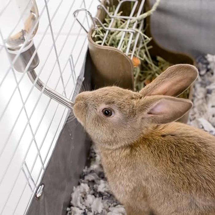 Kaytee Chew-Proof Water Bottle for Pet Ferrets and Rabbits, 26 oz by Kaytee - Image 3