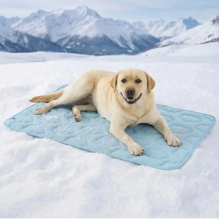 LE SURE Dog Cooling Mat for Extra Large Dogs -Q-Max>0.5 XL Breathable Thin Cool Crate Pad with Chill Cold Fiber and Innovative Mesh Base Design, Portable Washable Pet Kennel Mat for Summer,44x30,Blue by LE SURE - Used - Like New condition - US$37.99