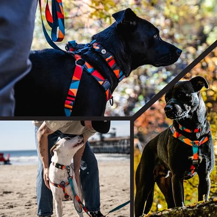 Wolfgang Heavy Duty Adjustable Dog Harness, Pull-Tested to Over 800 lbs for Walking & Training, ShatterShapes Print, Medium by Wolfgang Man & Beast - Image 6
